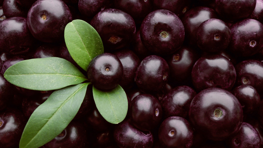 The Açai Fruit