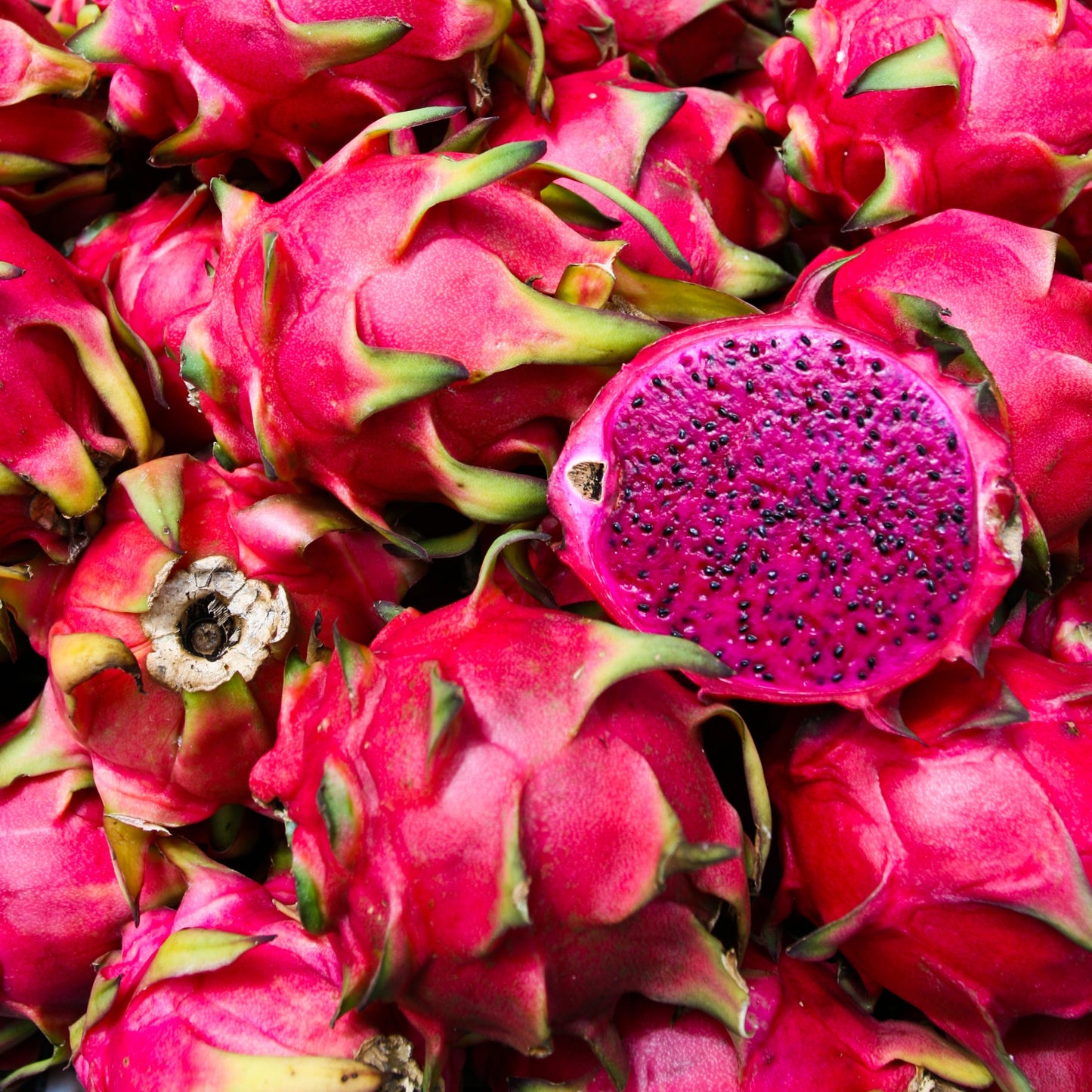 Organic Dragon Fruit Freeze Dried Powder (Pitaya)